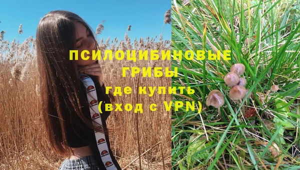 соль ск Нея